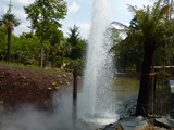 08-Garten