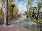 09-Garten