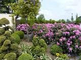 12-Garten