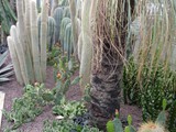 15-Garten