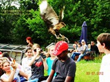 DSCN3317a
