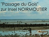 5-Noirmoutier (16)c klein