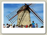 4-Wanderung nahe Chalonnes (16) klein AP