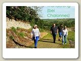 4-Wanderung nahe Chalonnes (41) klein AP