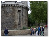 DSC_0328 (2)