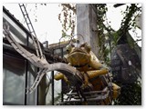 DSC_0454 (2)
