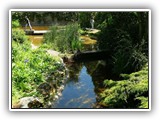 2c-Dou�-la-Fontaine, Picknick im Rosenpark Foullon (12) klein 059