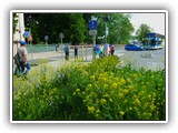 2e-Plauen-Spaziergang 2 (17) klein 033