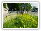 2e-Plauen-Spaziergang 2 (18) klein 034