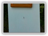3a-B�rgerfest im Rosenthalpark (10) klein 010